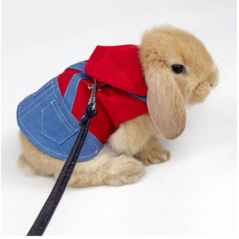Cowboy rabbit clothing with buckle, traction rope, pet walking harness, suitable for small animals, guinea pigs, mascots, accessories