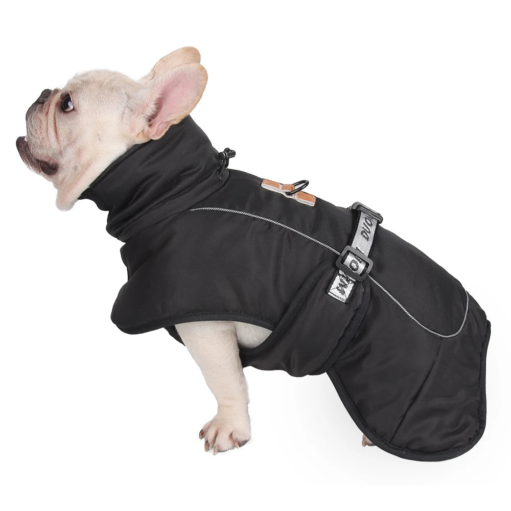 Dog jacket, winter warm puppy clothes suitable for small and medium-sized dogs, high neck windproof, French bulldog, lapdog clothing, pet clothing