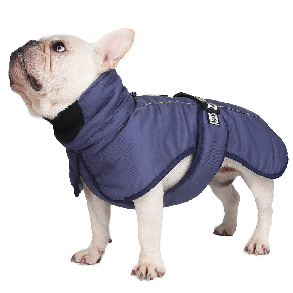 Dog jacket, winter warm puppy clothes suitable for small and medium-sized dogs, high neck windproof, French bulldog, lapdog clothing, pet clothing