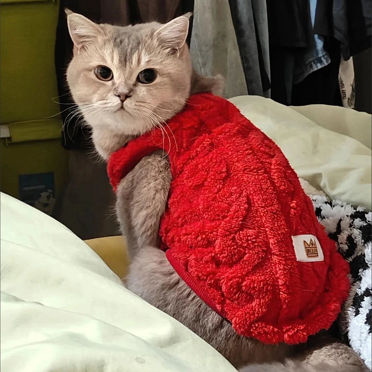 Pet cat clothing for autumn and winter, warm wool sweater clothing suitable for small and medium-sized dogs and cats, comfortable and soft clothing for cats and dogs