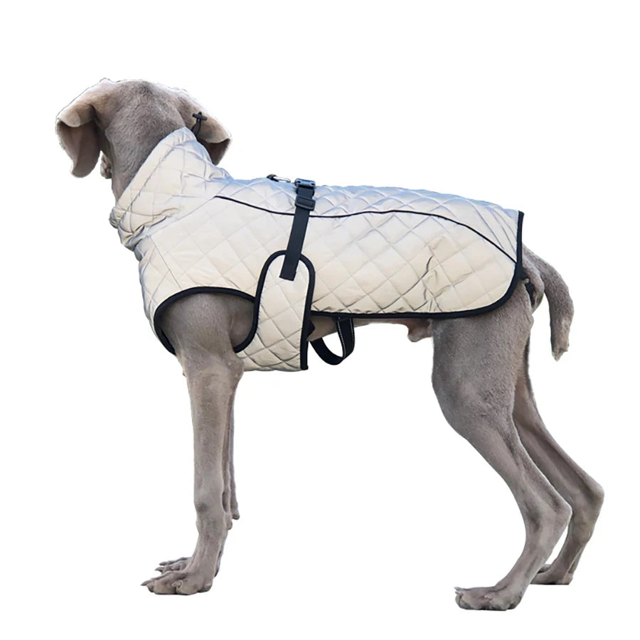 Reflective pet dog outdoor jacket, pet coat vest, winter warm reflective cotton dog clothing suitable for large and medium-sized Labrador Retrievers