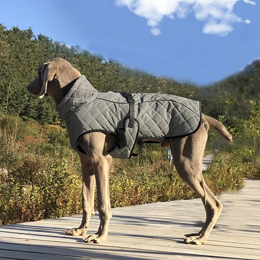 Reflective pet dog outdoor jacket, pet coat vest, winter warm reflective cotton dog clothing suitable for large and medium-sized Labrador Retrievers
