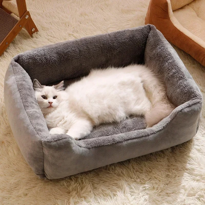Cat bed, pet supplies, mats, kitten supplies, accessories for dogs, house supplies, things, accessories, habitats, baskets, house beds