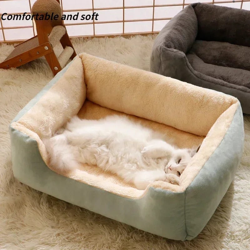 Cat bed, pet supplies, mats, kitten supplies, accessories for dogs, house supplies, things, accessories, habitats, baskets, house beds