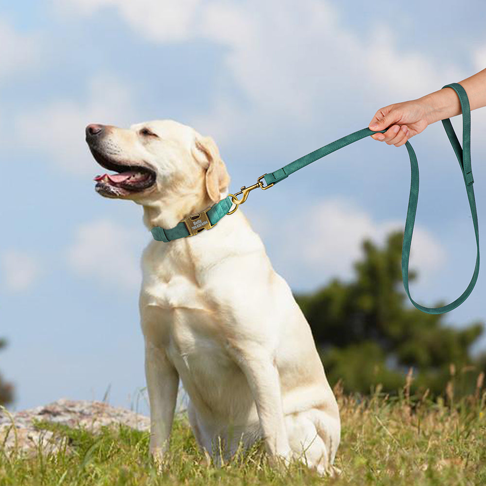 120cm PU leather dog leash with soft cushion handle for pet walking training. The leash is suitable for German Shepherd, Golden Retriever, medium to large dogs