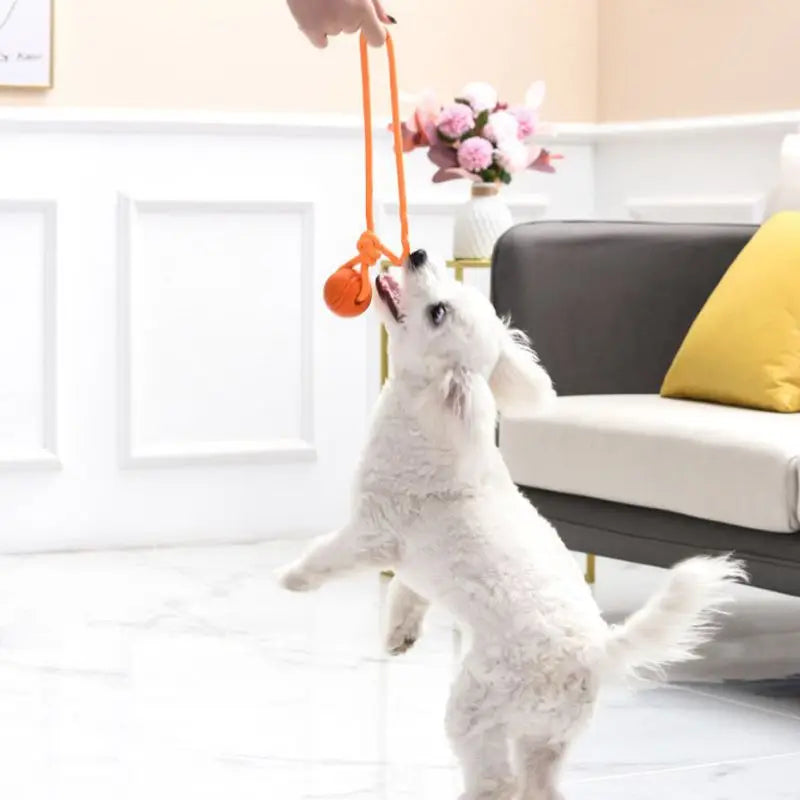 Dog Training Rope Ball Cotton Rope Ball Toy Non toxic and Durable Interactive Dog Toy Suitable for Large and Small Dogs Scratching, Throwing and Pulling
