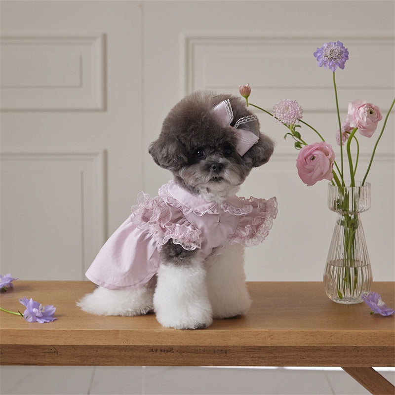 Suitable for small dogs, pink dog dresses, lace ruffled edges, doll collars, pet clothes, Chihuahua Yorkshire clothes, small dog clothes