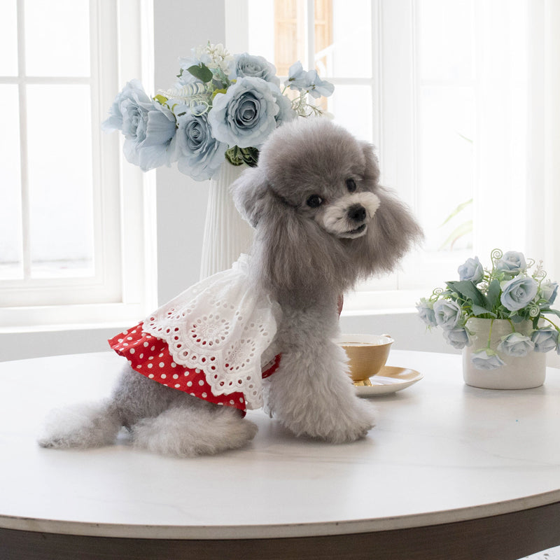 Dog clothes, summer clothes for puppies, dog dresses, dog clothes, small dog clothes, pet dog clothes, dog dresses