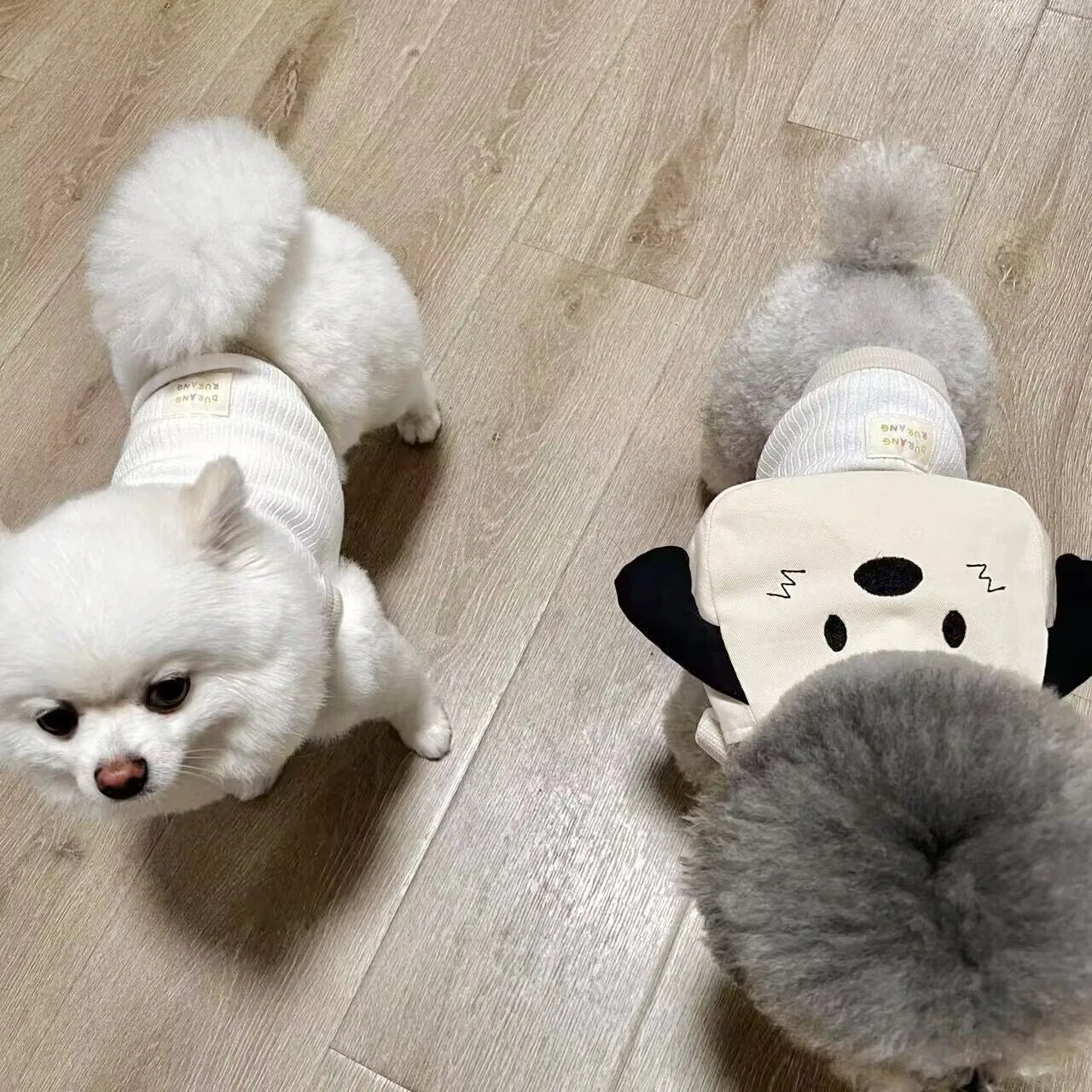 0-15kg dog backpack suitable for dogs, puppies, cats, bags with chest straps, collars, chest straps, and traction ropes. Pet cute bag set suitable for small pets for outdoor travel