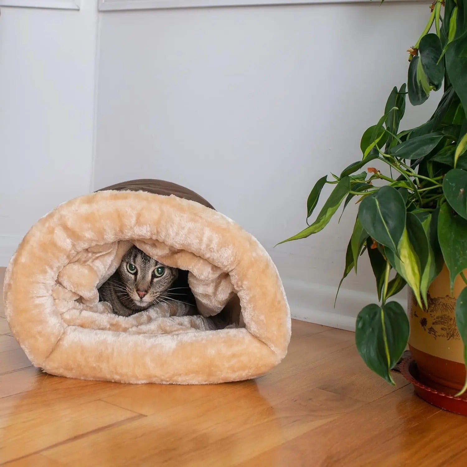 Cat bed, cat basket accessories, cat house, cat shelter and cat bed accessories, all pet supplies, dog mats, cat beds, puppy supplies