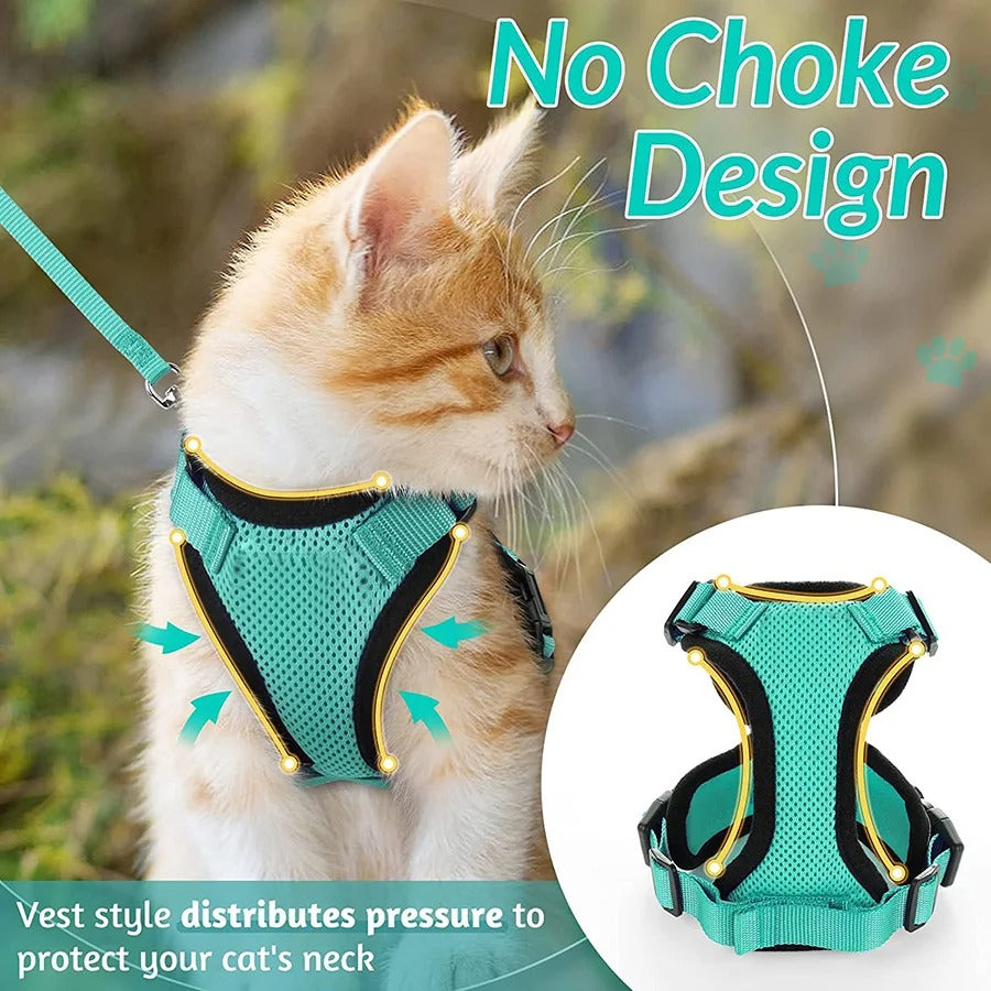 Cat supplies, pet accessories, pet products, chest straps, kitten supplies, collars, kitten chest straps, collars, chest straps, traction ropes