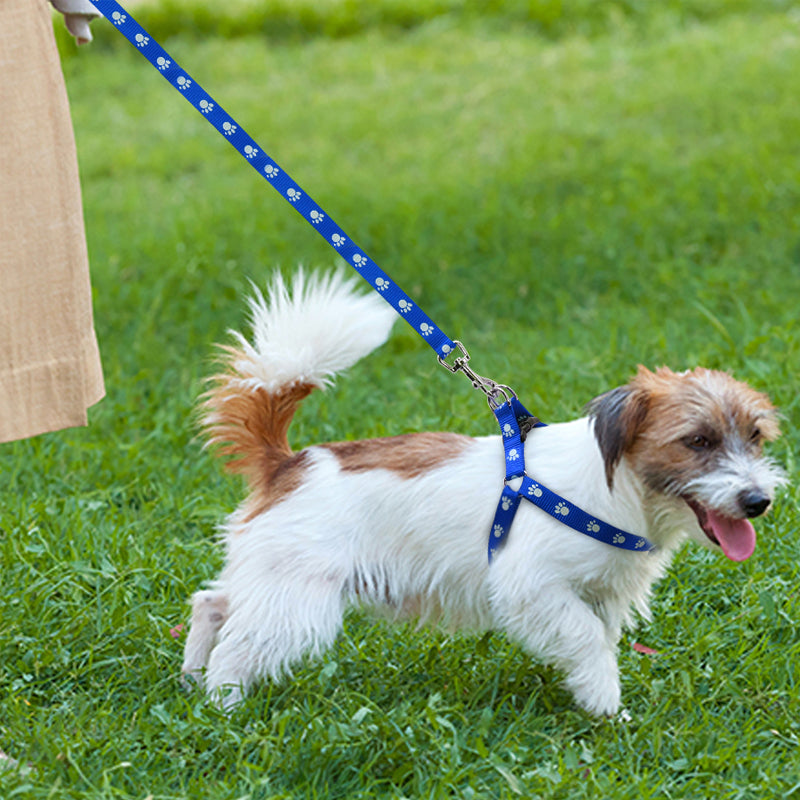 Cute paw print dog harness and leash set, nylon adjustable dog harness, dog walking leash suitable for small and medium-sized dogs