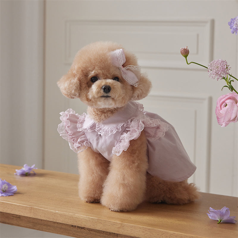 Suitable for small dogs, pink dog dresses, lace ruffled edges, doll collars, pet clothes, Chihuahua Yorkshire clothes, small dog clothes
