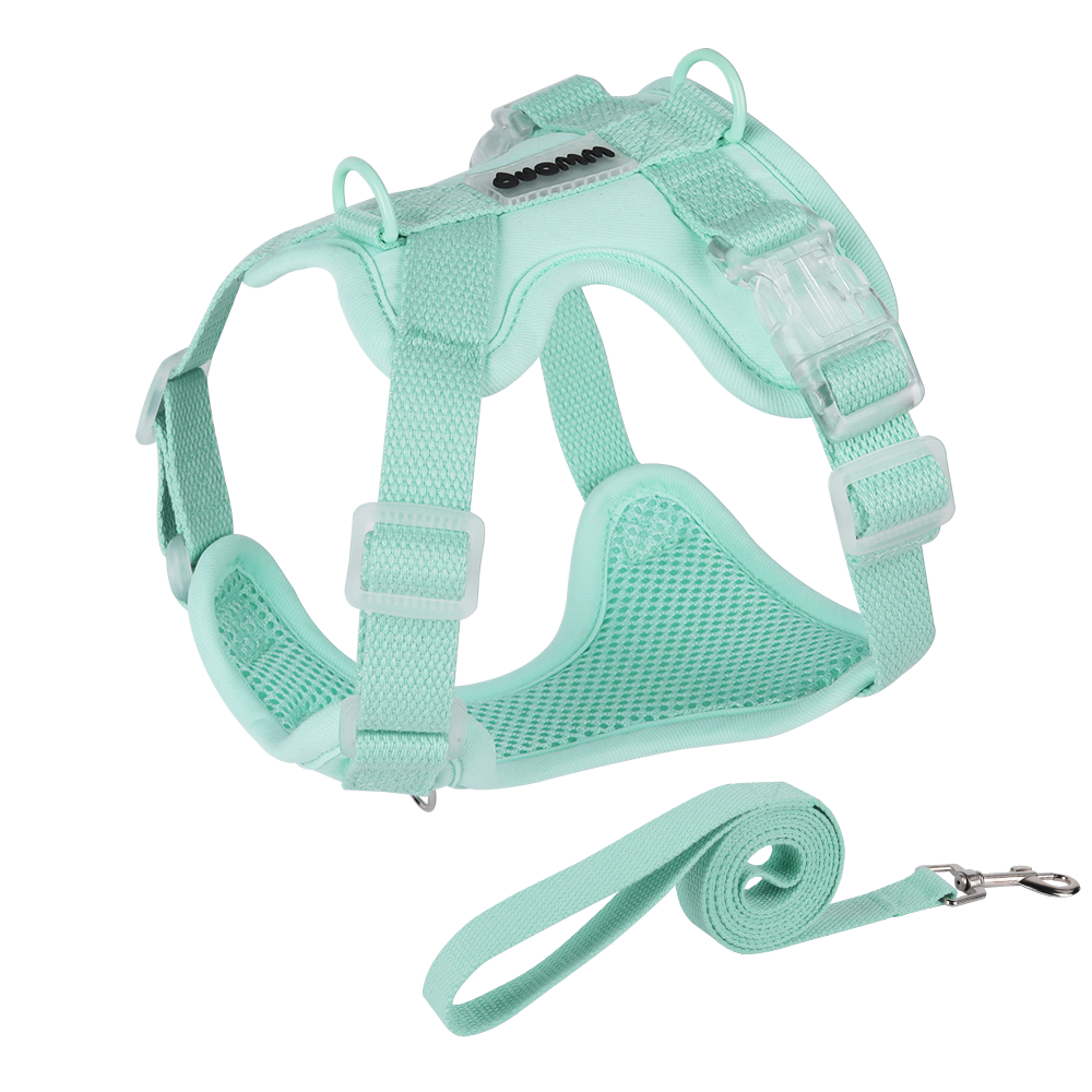 Colorful lightweight dog harness, suitable for small dogs, dopamine style breathable mesh non tension pet vest, with traction rope, comfortable outdoor