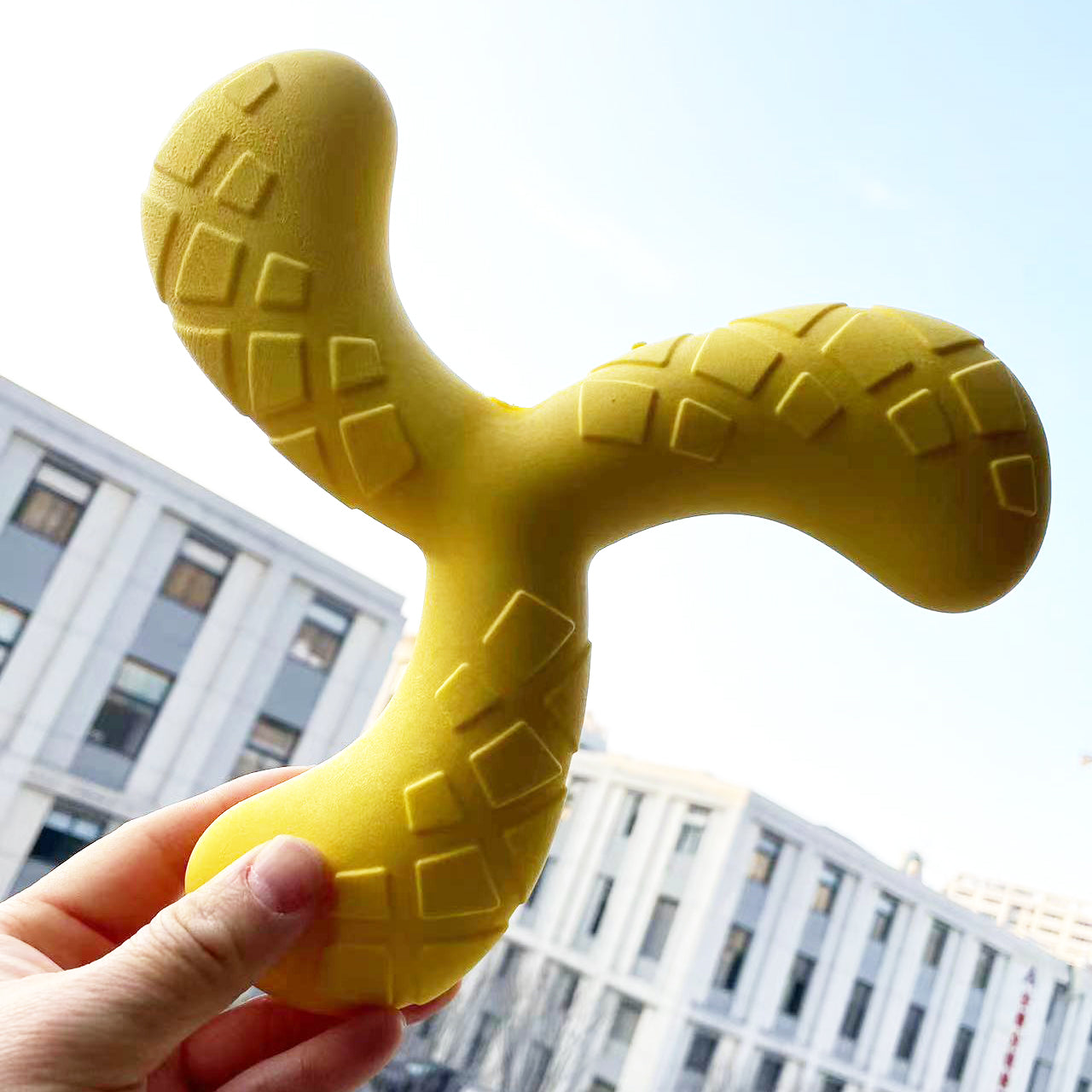 Fun pet toys, floating triangle boomerangs for dogs, squeaking and grinding for dogs, pet training, dog accessories