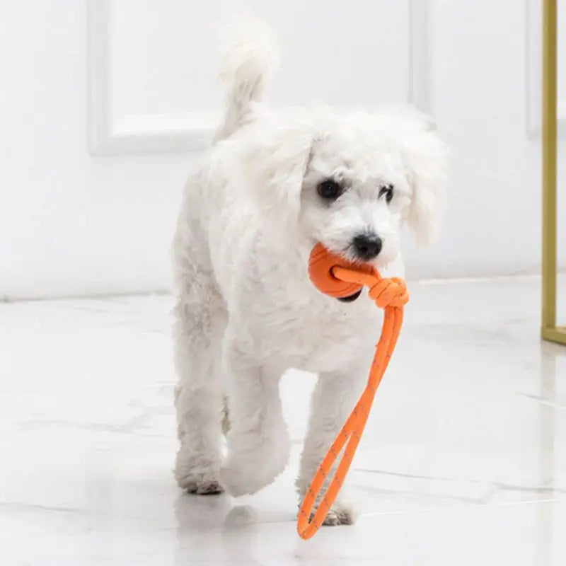 Dog Training Rope Ball Cotton Rope Ball Toy Non toxic and Durable Interactive Dog Toy Suitable for Large and Small Dogs Scratching, Throwing and Pulling