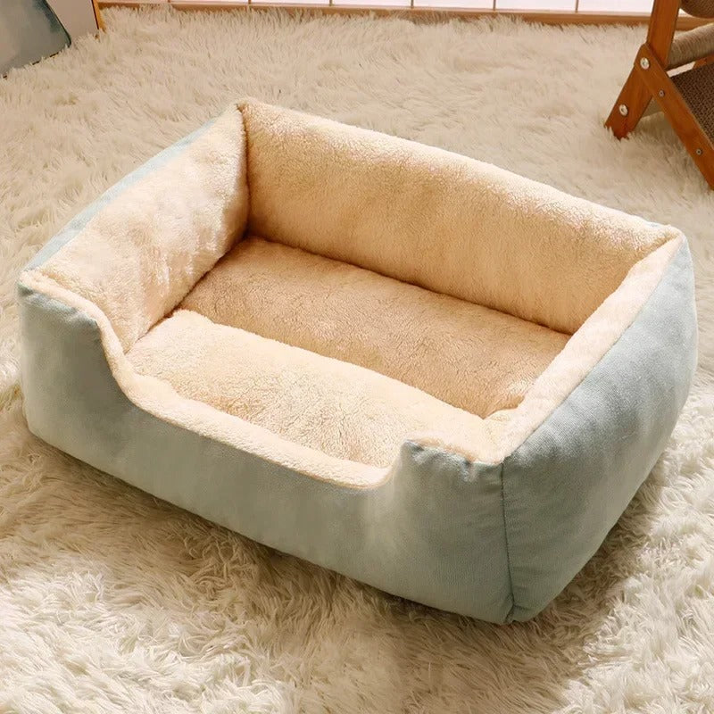 Cat bed, pet supplies, mats, kitten supplies, accessories for dogs, house supplies, things, accessories, habitats, baskets, house beds