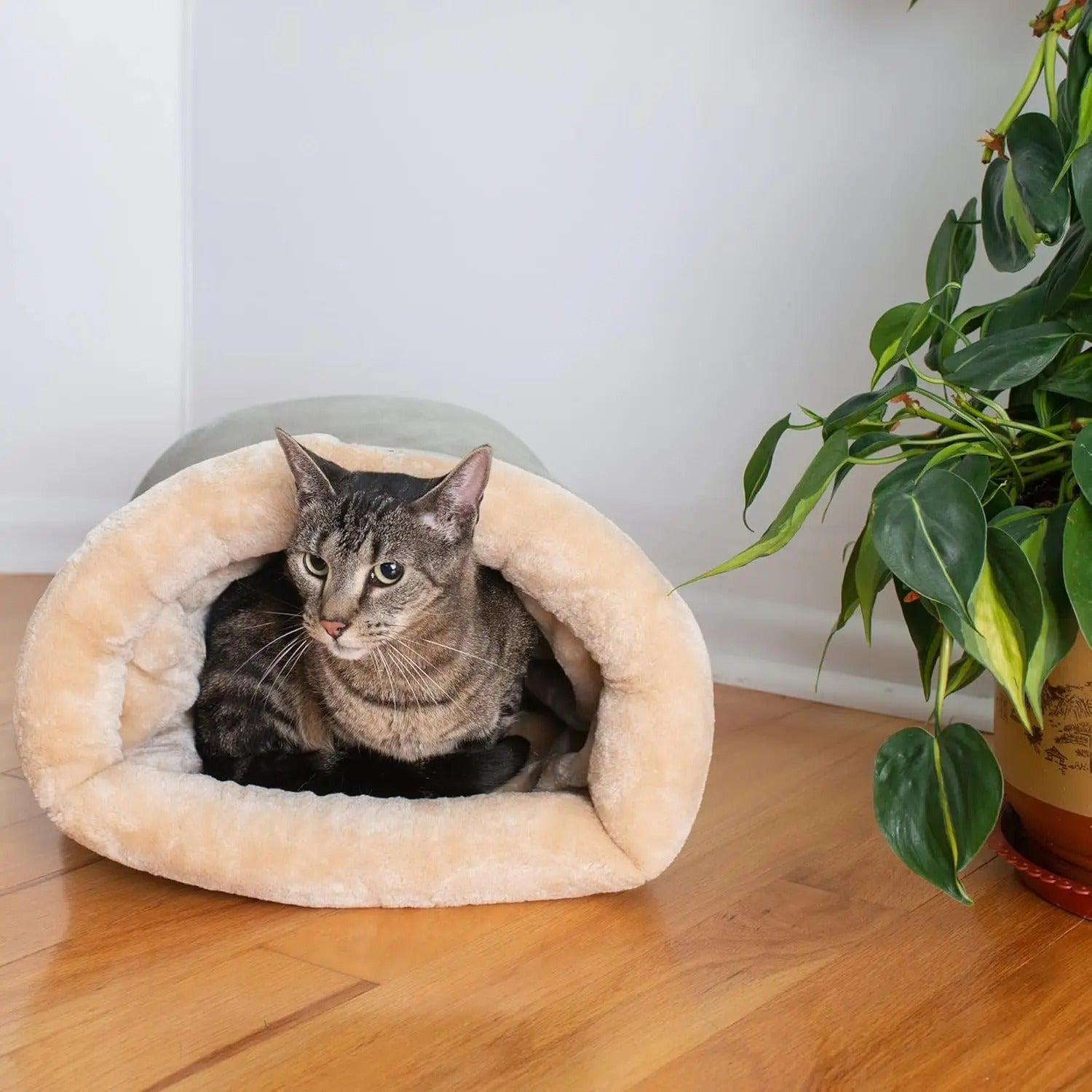 Cat bed, cat basket accessories, cat house, cat shelter and cat bed accessories, all pet supplies, dog mats, cat beds, puppy supplies