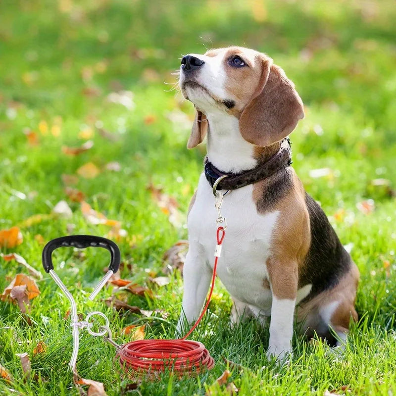 High quality 5mm * 3m extended steel wire dog rope chain, durable double ended dog traction rope, double ended metal hook, pet supplies