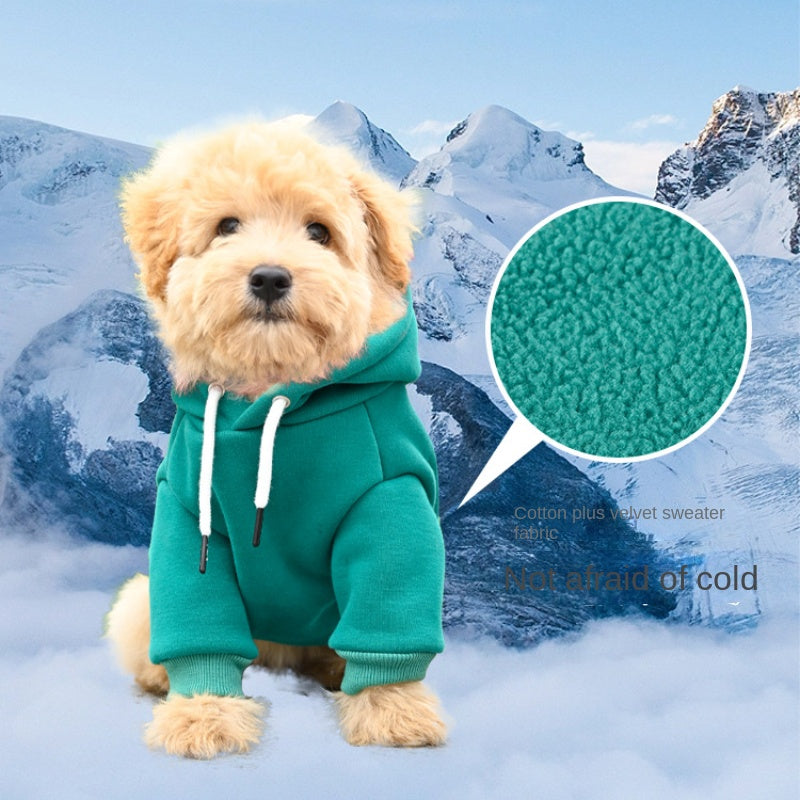 Dog clothing, pet hoodies, small and medium-sized dog vests, outdoor sports shirts, pet warm pet clothing, puppy and cat clothing
