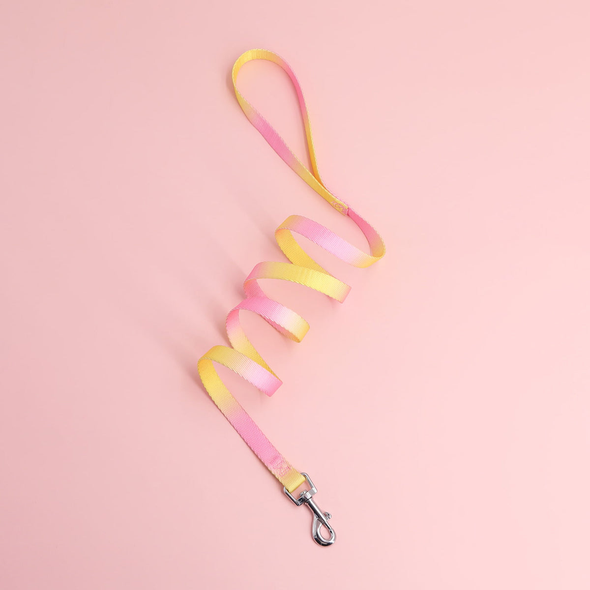 Colorful pet leash, suitable for indoor and outdoor use