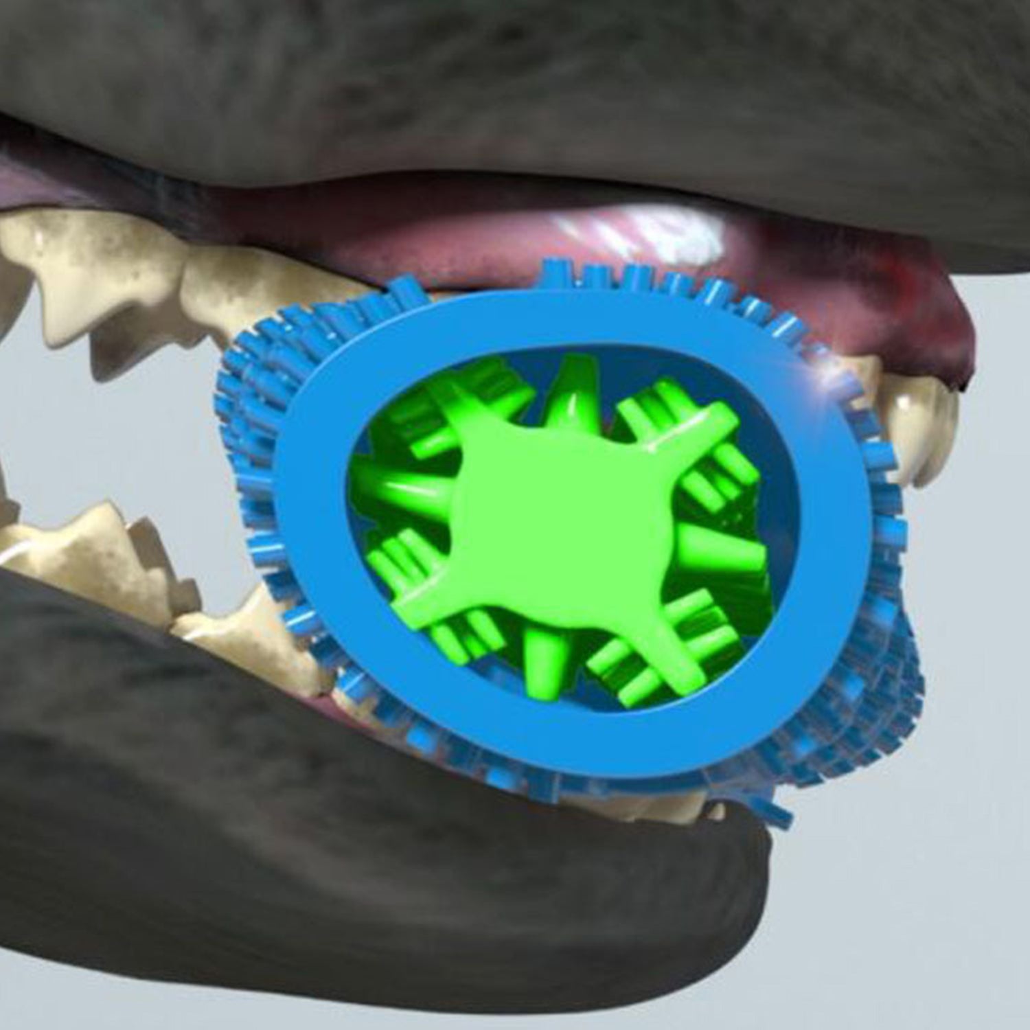 Dog teether stick, food grade cleaning massager, rubber toothbrush, chewing toy, teeth cleaning, pet micro bite force