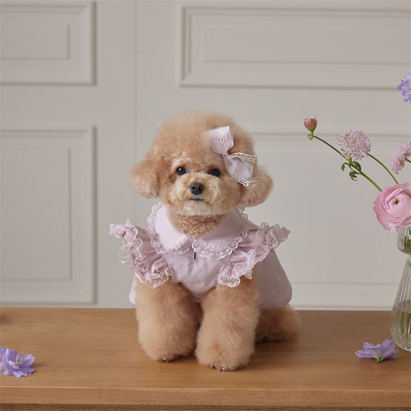 Suitable for small dogs, pink dog dresses, lace ruffled edges, doll collars, pet clothes, Chihuahua Yorkshire clothes, small dog clothes